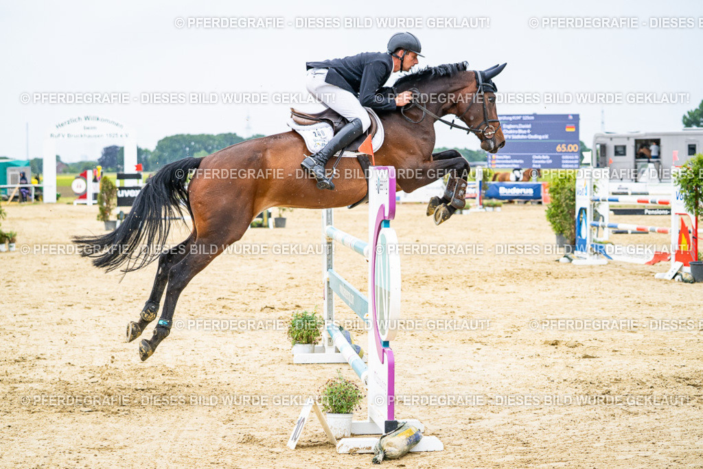 DSC07293 | Pferdegrafie