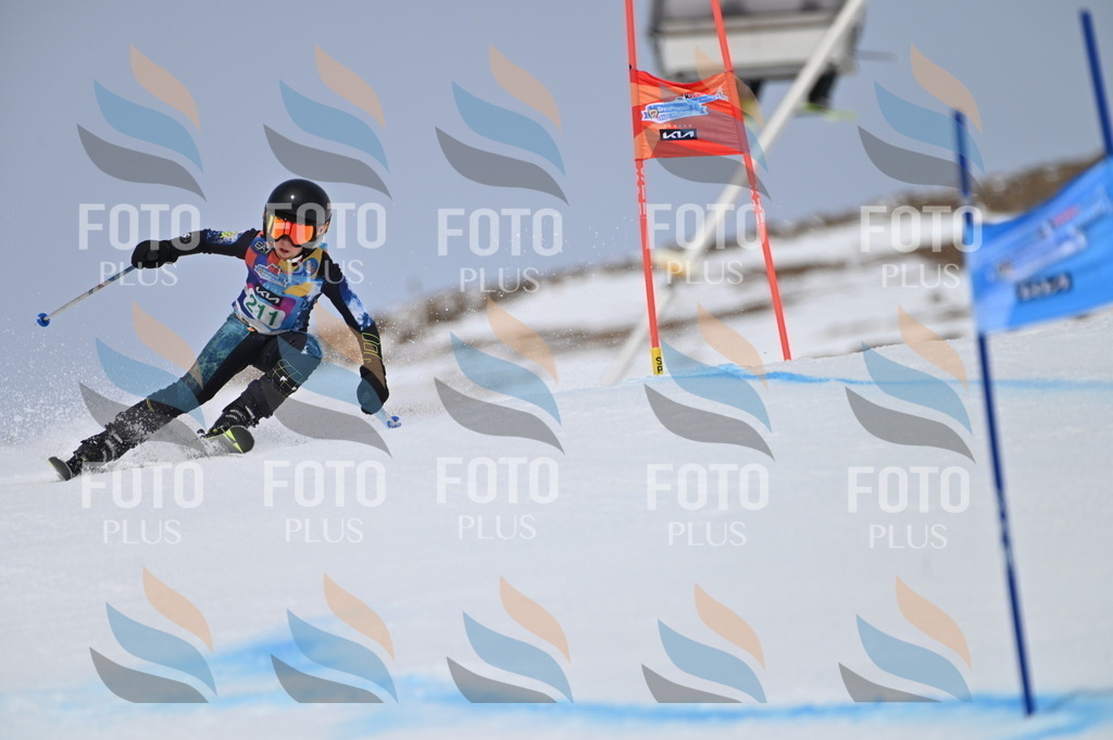 BGV_4075 | holidayphoto