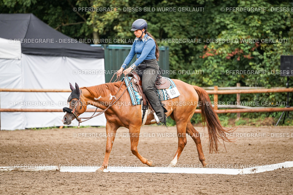 DSC04404 | Pferdegrafie