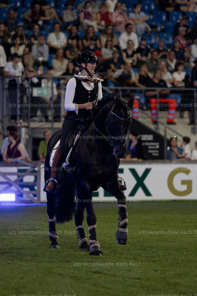 TSCHIO26_Pferd-Sinfonie_StoibphotographyTSCHIO26_Pferd-Sinfonie_Stoibphotography_AM11665.CR3.jpg | working equitationturnier fotograf videograf stoibphotography marixx film working equitation deutschland reitsport turnierfotografie eventfotografie equestrian events