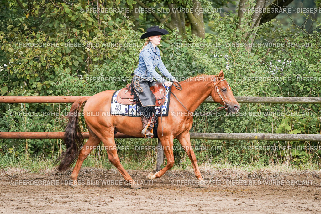 DSC08697 | Pferdegrafie