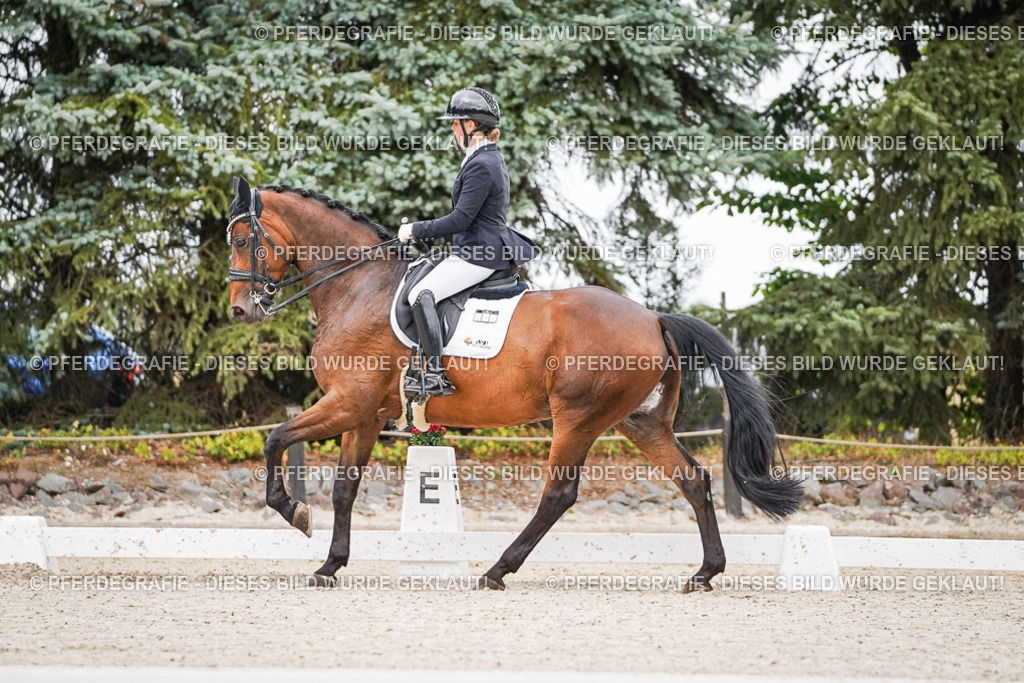 DSC08259 | Pferdegrafie