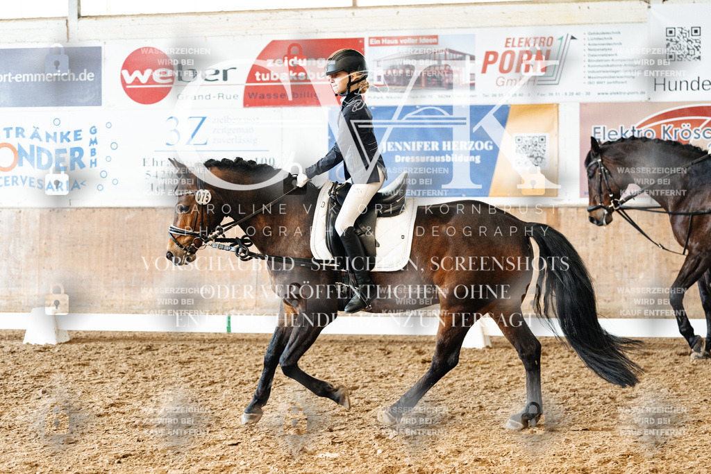 CK900469 | Turnierfotografie Pferdefotografie Trier Rheinland-Pfalz Pferdesport Reitsport Tierfotografie Sportfotografie Pferdevideo Pferdevideografie Equestrianvideography equestrianphotography  - Realized with Pictrs.com