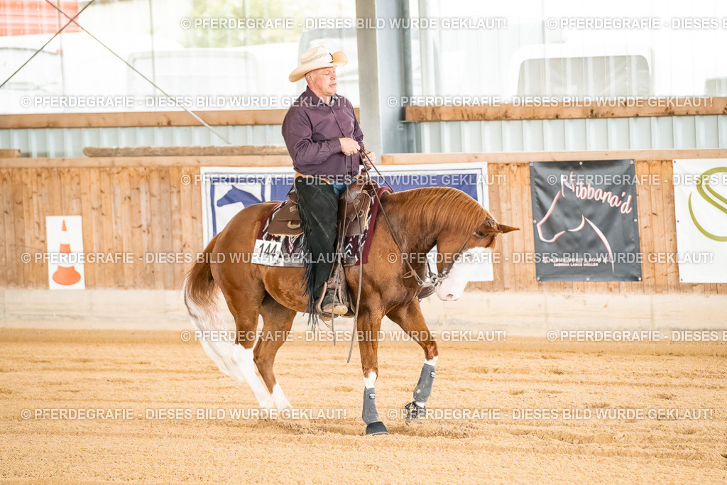 DSC01634 | Pferdegrafie