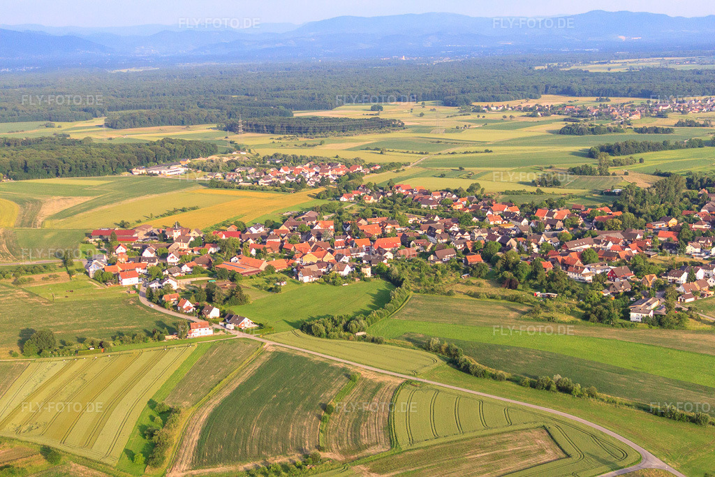 Luftbild: Dorfansicht von Nordwesten im Ortsteil Linx in Rheinau im Bundesland Baden-Württemberg in Deutschland. Foto: IMG_28887.jpg vom 14.06.2010 durch Werner Riehm/FLY-FOTO.de