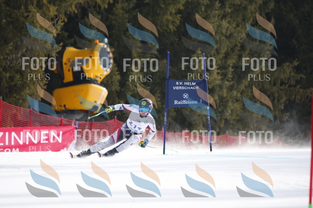 D8387 | holidayphoto