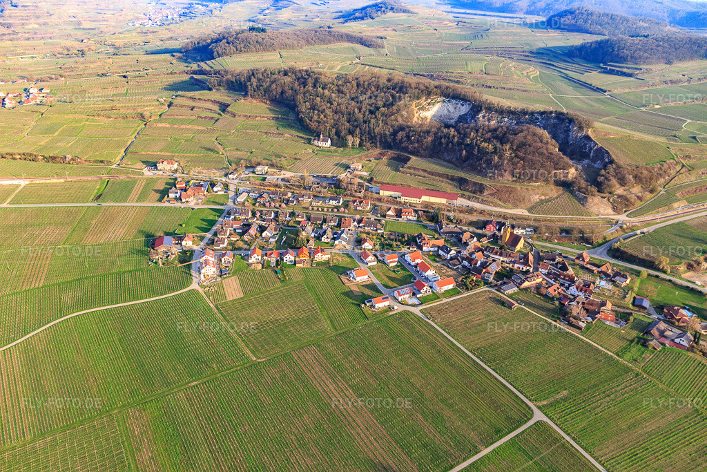 Luftbild: Winzerdorf am Kaiserstuhl aus Nordwesten im Ortsteil Oberrotweil in Vogtsburg im Bundesland Baden-Württemberg in Deutschland. Foto: IMG_113155.jpg vom 22.03.2019 durch Werner Riehm/FLY-FOTO.de