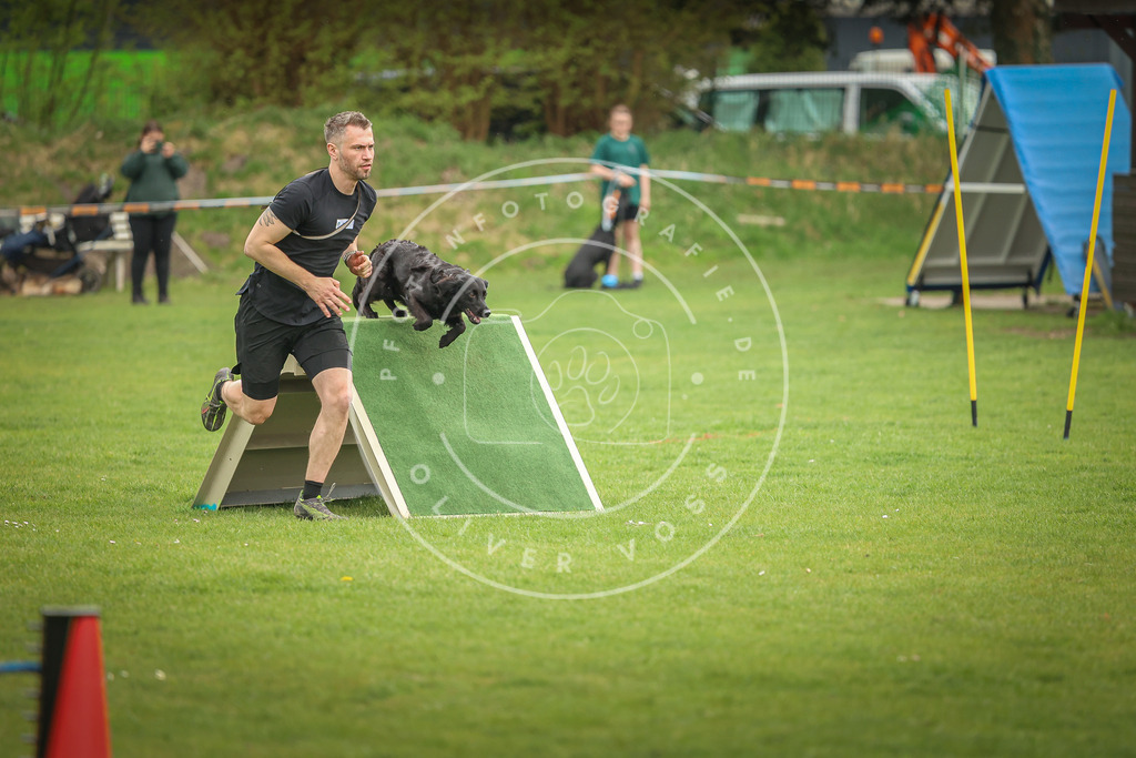 Pfotenfotografie_0L8A1213 | Hundefotografie, Tierfotograf, Pfotenfotografie, Fotoshooting Hund, Hunde Portrait, Hundesport, Hundeportraits, Heideshooting, Hunde, Sportfotograf, Hundefotograf, Turnierhundsport, THS,  - Realisiert mit Pictrs.com