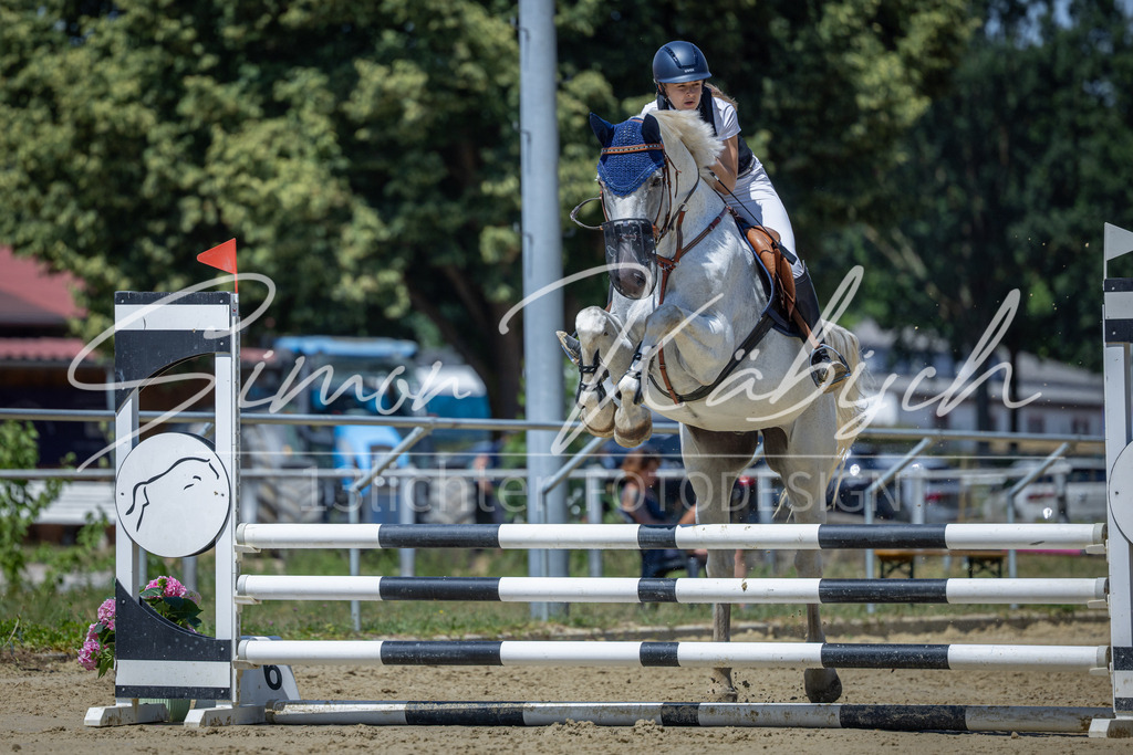 20260704-_3LI8499 | Tierfotografie Pferde, Hunde, Katzen, Haustiere.
Turnierfotografie Reitturniere, Reiten, Springreiten, Dressur in Hanau, dem Main-Kinzig-Kreis und dem Rhein-Main- Gebiet um Frankfurt