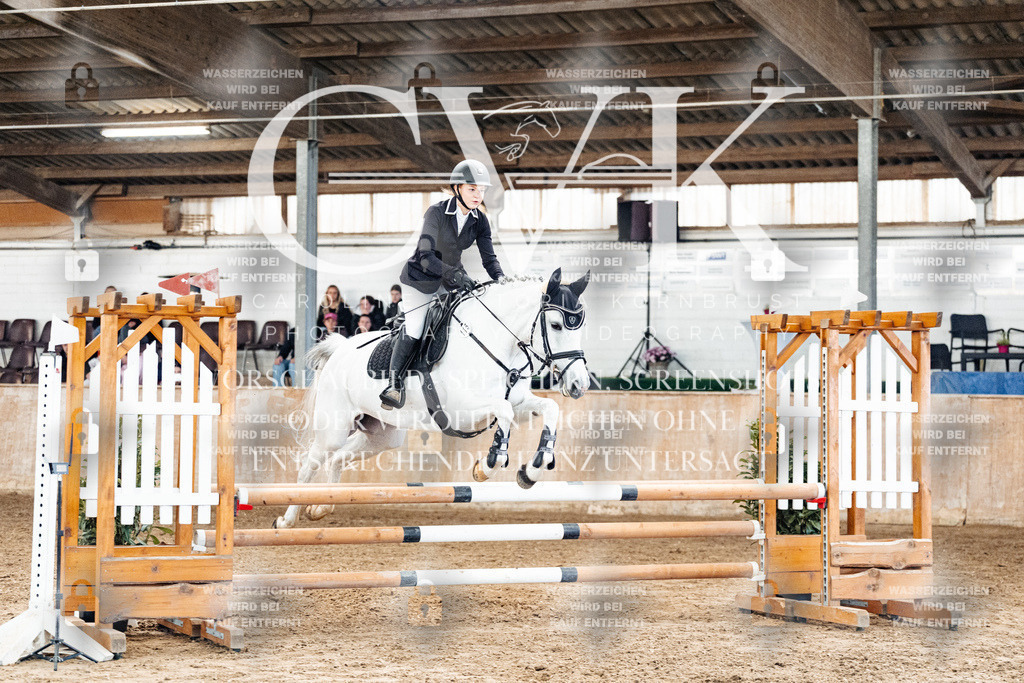 CK904603 | Turnierfotografie Pferdefotografie Trier Rheinland-Pfalz Pferdesport Reitsport Tierfotografie Sportfotografie Pferdevideo Pferdevideografie Equestrianvideography equestrianphotography  - Realized with Pictrs.com