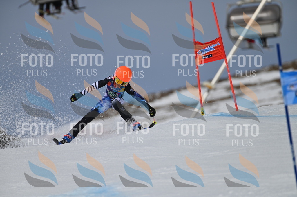 BGV_6915 | holidayphoto