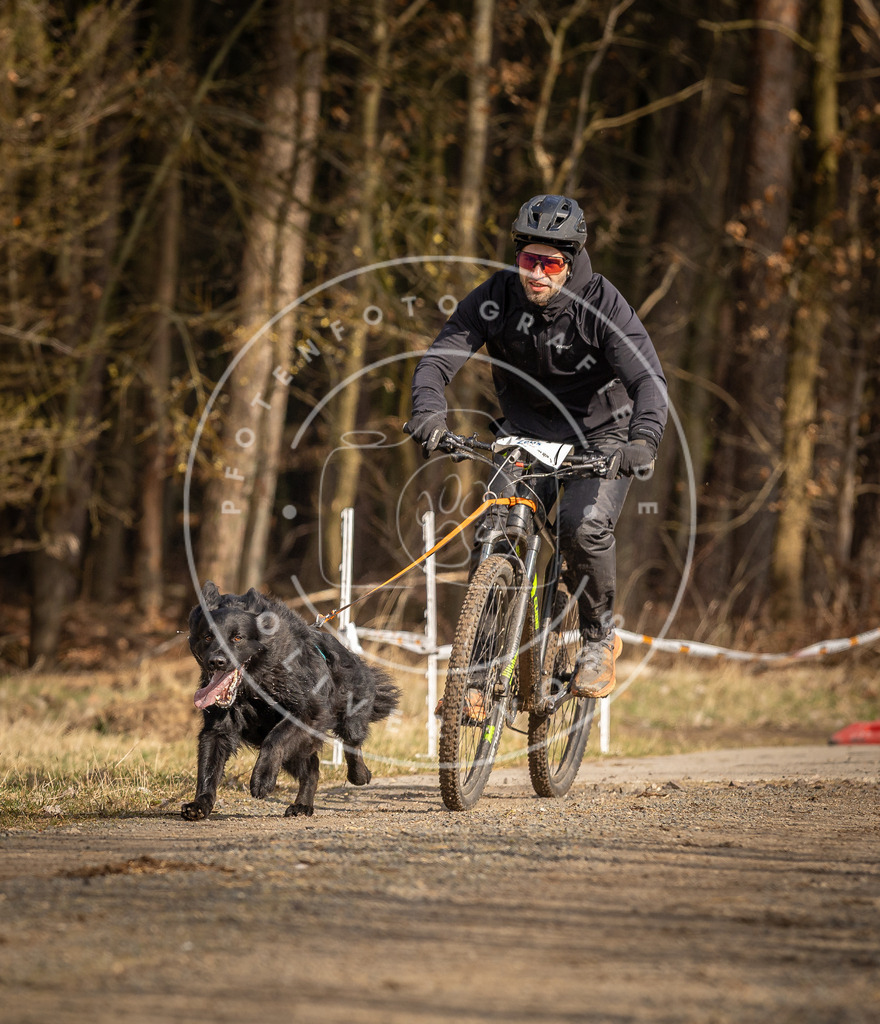 DV3A4388 | Hundefotografie, Tierfotograf, Pfotenfotografie, Fotoshooting Hund, Hunde Portrait, Hundesport, Hundeportraits, Heideshooting, Hunde, Sportfotograf, Hundefotograf, Turnierhundsport, THS,  - Realisiert mit Pictrs.com