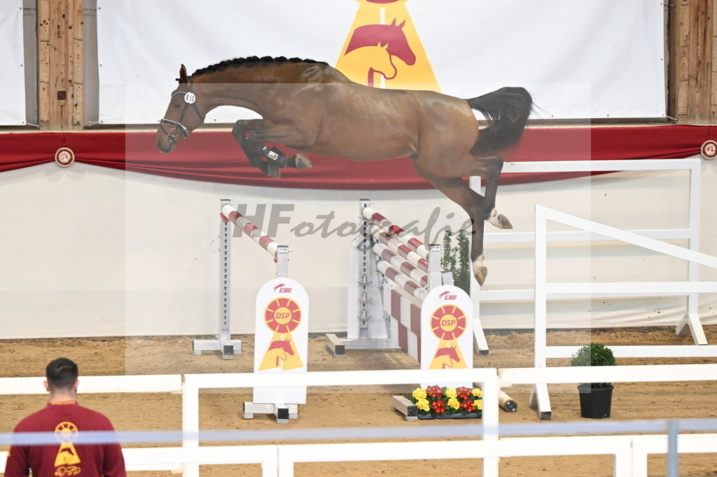 Kat.-Nr. 16 v. Denzel van het Meulenhof_Schulze Averdiek_3261600 | hf-fotografie - Realisiert mit Pictrs.com