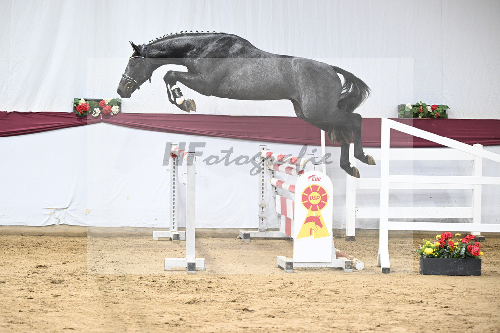 Kat-Nr. 104 Allroad 2000 Z x Chacco-Blue_Anton Gassler_47253350 | hf-fotografie - Realisiert mit Pictrs.com