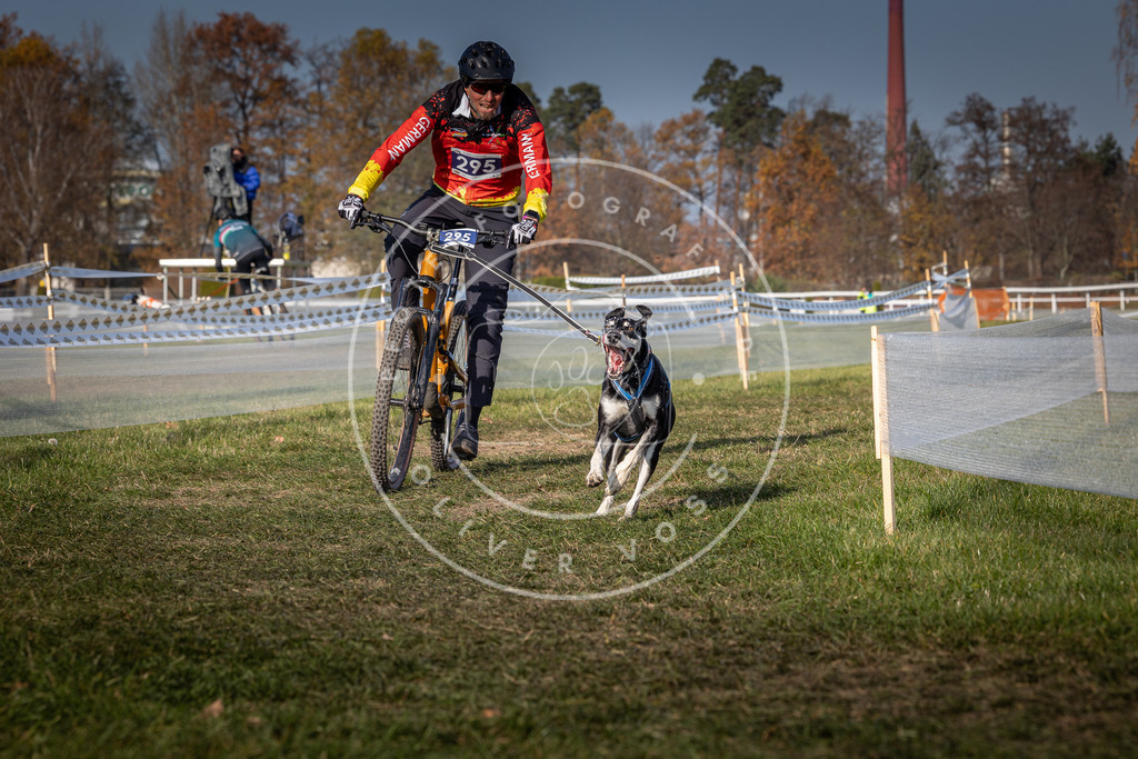 CaniXpix_0L8A7239 | Hundefotografie, Tierfotograf, Pfotenfotografie, Fotoshooting Hund, Hunde Portrait, Hundesport, Hundeportraits, Heideshooting, Hunde, Sportfotograf, Hundefotograf, Turnierhundsport, THS,  - Realisiert mit Pictrs.com