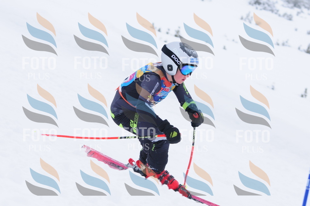 C2408 | holidayphoto