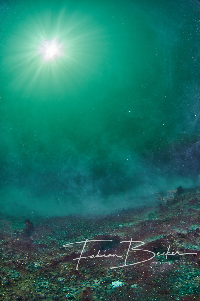 Outerspace | Einzigartige Wandbilder von faszinierenden Unterwasserwelten. Exklusive Kunst für Empfangsbereiche, Wohnraum oder Wartezimmer. - Realisiert mit Pictrs.com