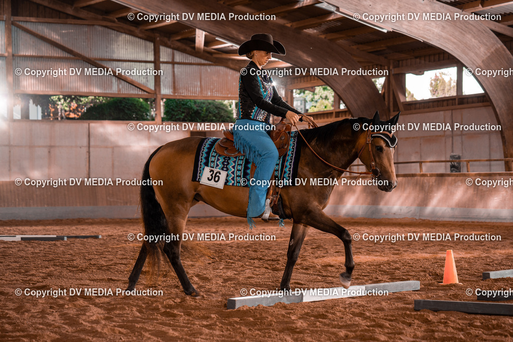 NE200089 | dv-media-shop - Realisiert mit Pictrs.com