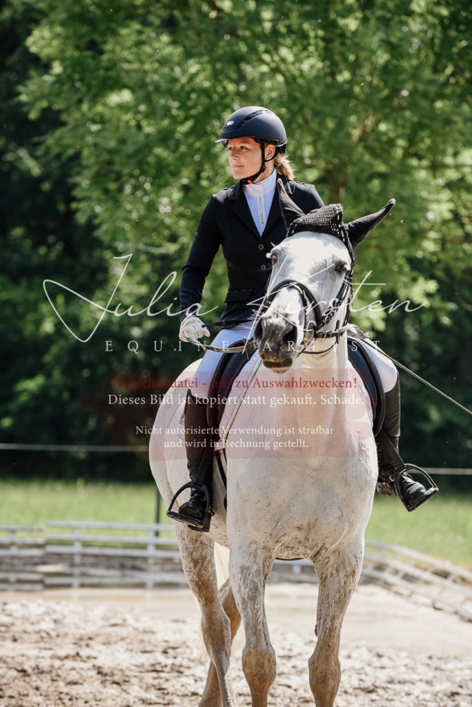 DSC_0419 | Pferde- und Turnierfotografie in Westsachsen. Pferdeportraits, Auftragszeichnungen und intuitive Kunst.
