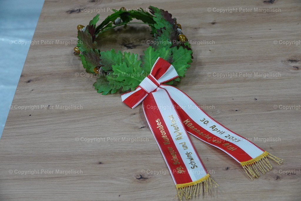 DSC03187 | Schwingen - Realisiert mit Pictrs.com