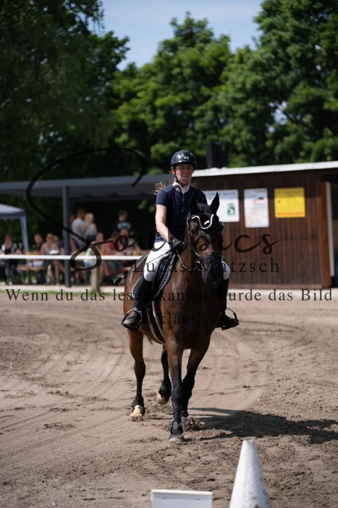 A7V03039 | Pferdefotograf