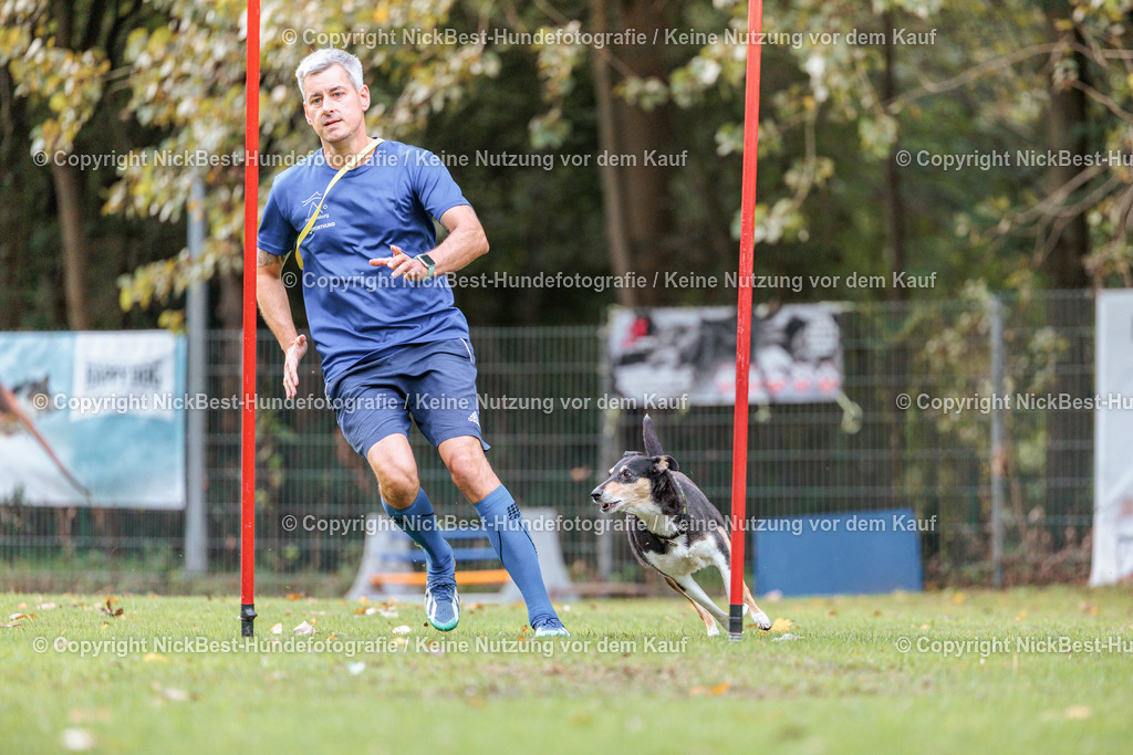 THS-HSV-Blumenthal-2026-Nickbest-Hundefotografie-1875 | Dein Hund! Dein Moment! Deine Erinnerungen! Hundefotografie in Bremen Blumenthal. Ich fange die besonderen Momente deines Vierbeiners ein – ob Indoor mit Blitzanlage oder in der freien Natur. Sicher dir dein Moment und dein Termin für eure Erinnerungen.