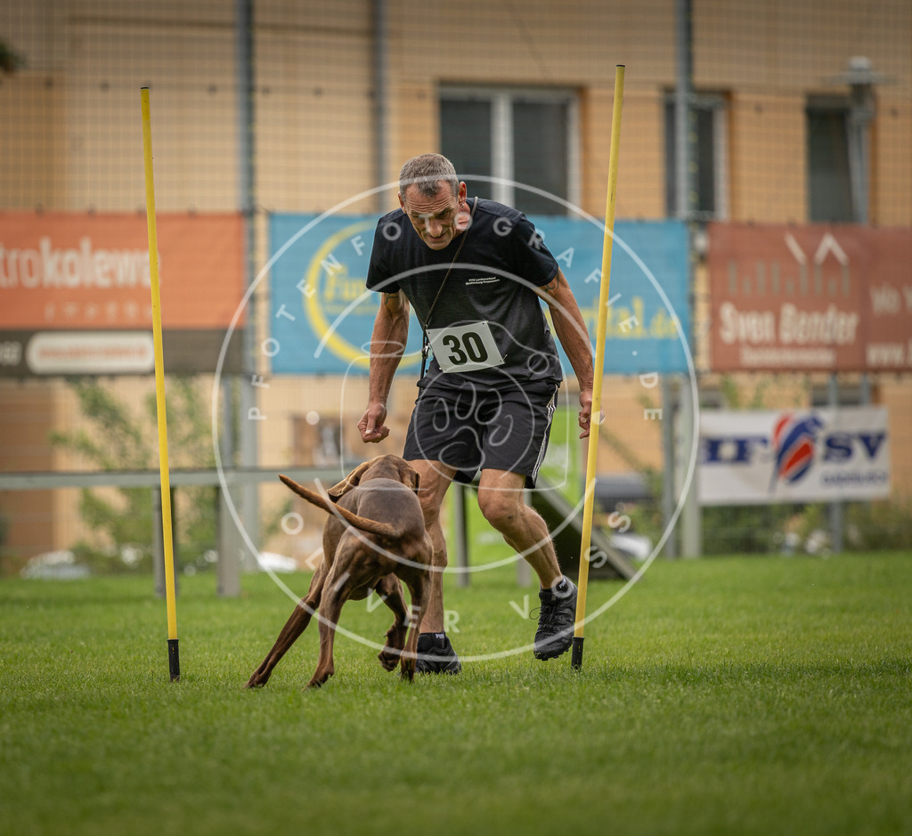 Pfotenfotografie_DV3A8349 | Hundefotografie, Tierfotograf, Pfotenfotografie, Fotoshooting Hund, Hunde Portrait, Hundesport, Hundeportraits, Heideshooting, Hunde, Sportfotograf, Hundefotograf, Turnierhundsport, THS,  - Realisiert mit Pictrs.com