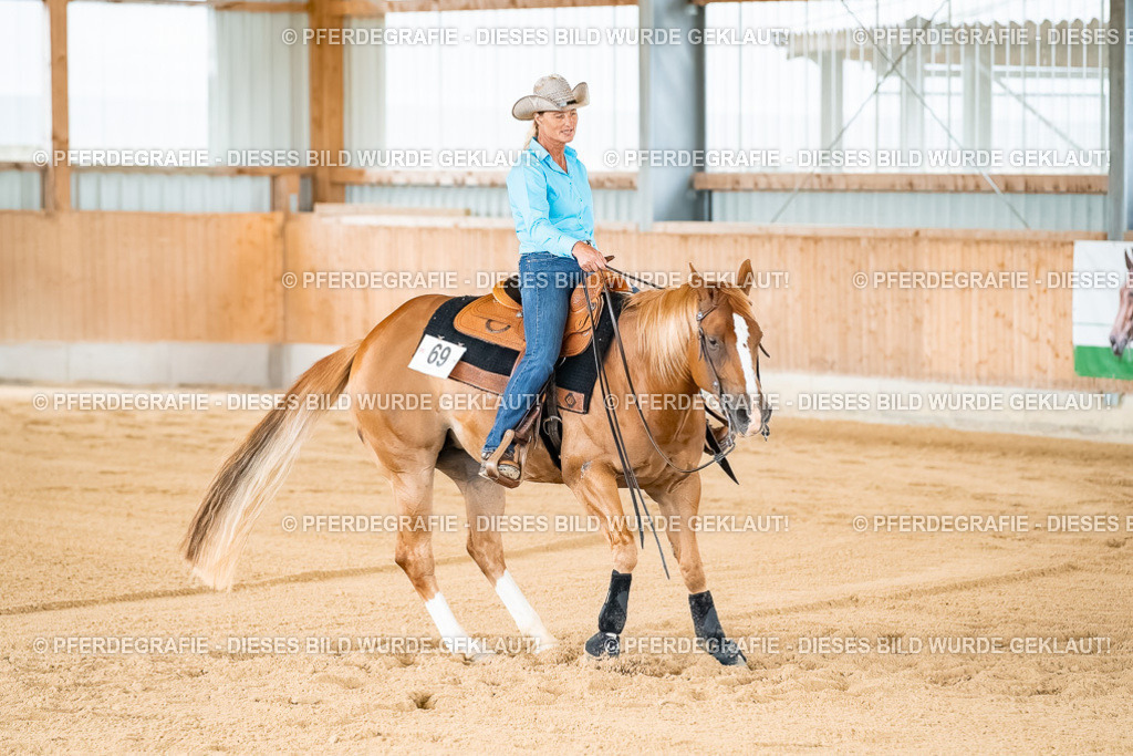 DSC02131 | Pferdegrafie