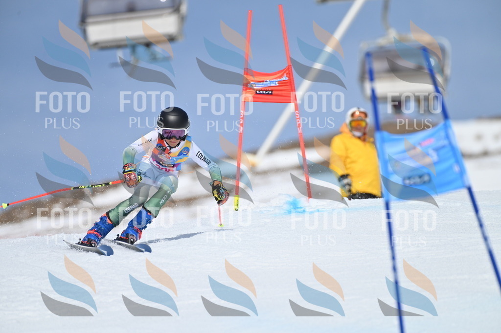 BGV_1105 | holidayphoto