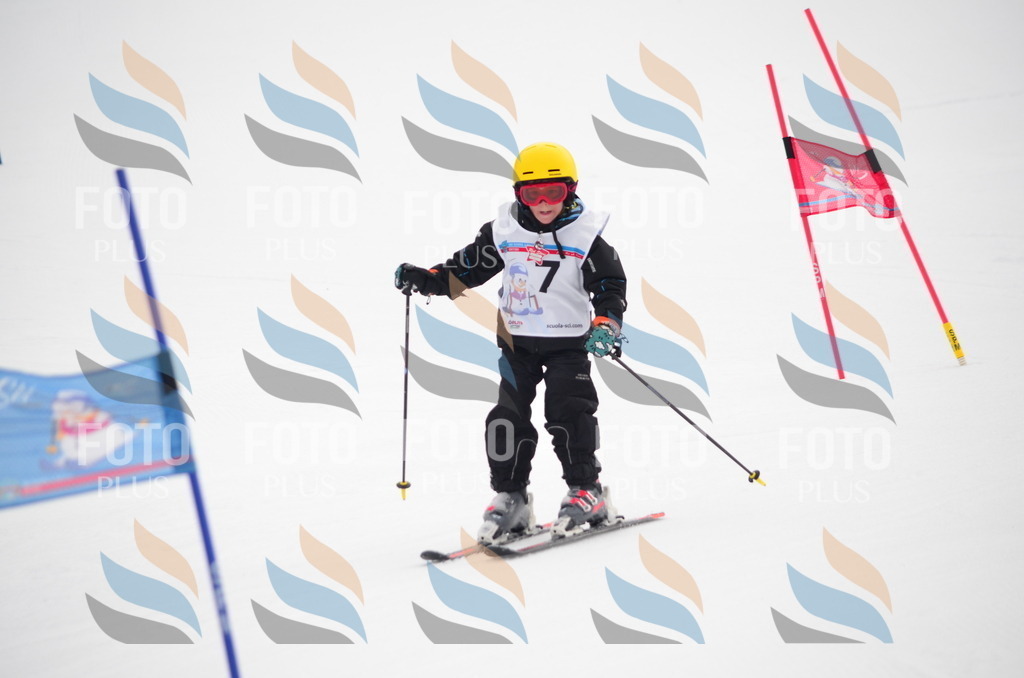 C0119 | holidayphoto