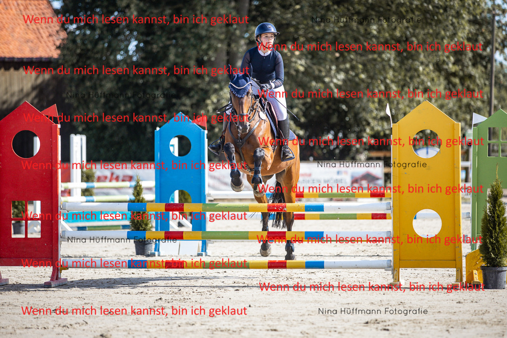 BK1A7002 | Turnierbilder Turnierfotos Nina Hüffmann Turnierfotografie Pferdefotografie Tierzeichnung Haustierzeichnung Pferdezeichnung Hundezeichnung Videograf  - Realisiert mit Pictrs.com