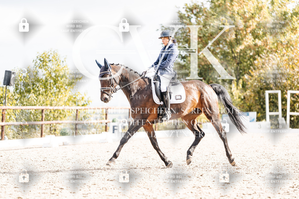 CK901458 | Turnierfotografie Pferdefotografie Trier Rheinland-Pfalz Pferdesport Reitsport Tierfotografie Sportfotografie Pferdevideo Pferdevideografie Equestrianvideography equestrianphotography  - Realisiert mit Pictrs.com