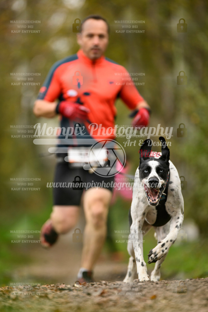MompixPhotography_20TSB_E6_Run-212 | PayLife