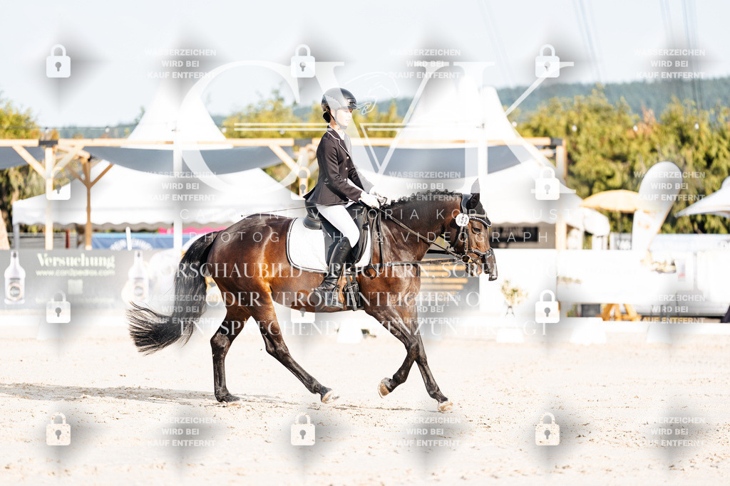 CK903800 | Turnierfotografie Pferdefotografie Trier Rheinland-Pfalz Pferdesport Reitsport Tierfotografie Sportfotografie Pferdevideo Pferdevideografie Equestrianvideography equestrianphotography  - Realisiert mit Pictrs.com