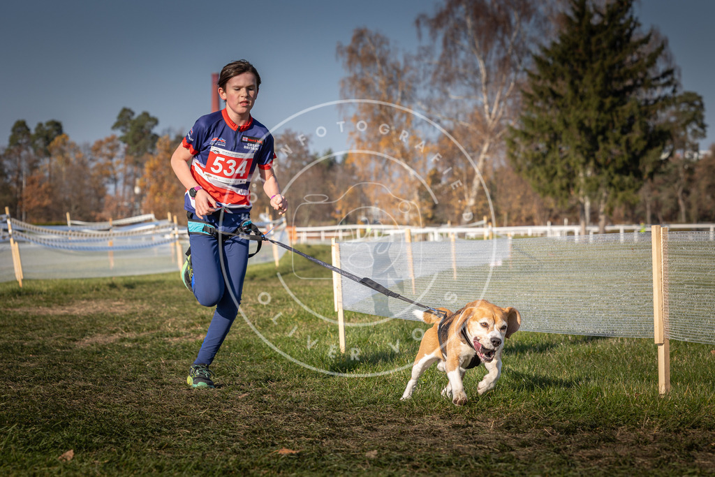 CaniXpix_0L8A9036 | Hundefotografie, Tierfotograf, Pfotenfotografie, Fotoshooting Hund, Hunde Portrait, Hundesport, Hundeportraits, Heideshooting, Hunde, Sportfotograf, Hundefotograf, Turnierhundsport, THS,  - Realisiert mit Pictrs.com