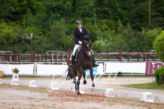 DKP47484 | Turniersportfotografie; Pferdefotografie; Dressurfotografie