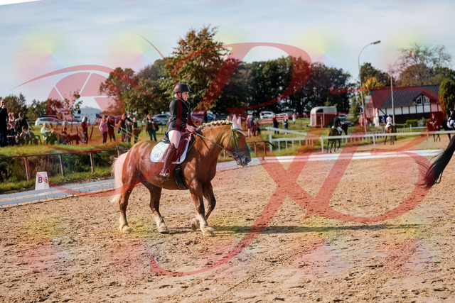 2026_10_03_Siefer-Hof_130329_Z63_65738773 | Professionelle Reitsport-, Turnier- und Eventfotografie von Robert Broda. Galerien mit ausgewählten und bearbeiteten Bildern direkt online ansehen und bestellen.