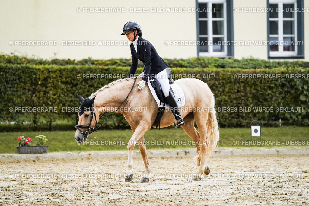 DSC06837 | Pferdegrafie