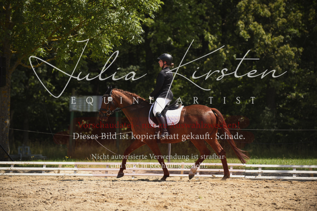 DSC_1286 | Pferde- und Turnierfotografie in Westsachsen. Pferdeportraits, Auftragszeichnungen und intuitive Kunst.