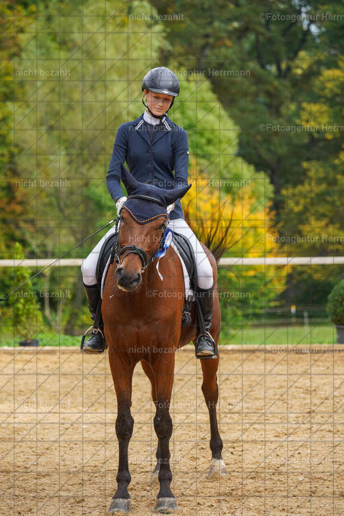 20221007-FAH09909 | Diessen am Ammersee, 2022, Dressur- und Springturnier, Reitsportbilder, Turnierfotografen Bayern, Pferdefotografen, Fotoagentur Herrmann, Turnierbilder