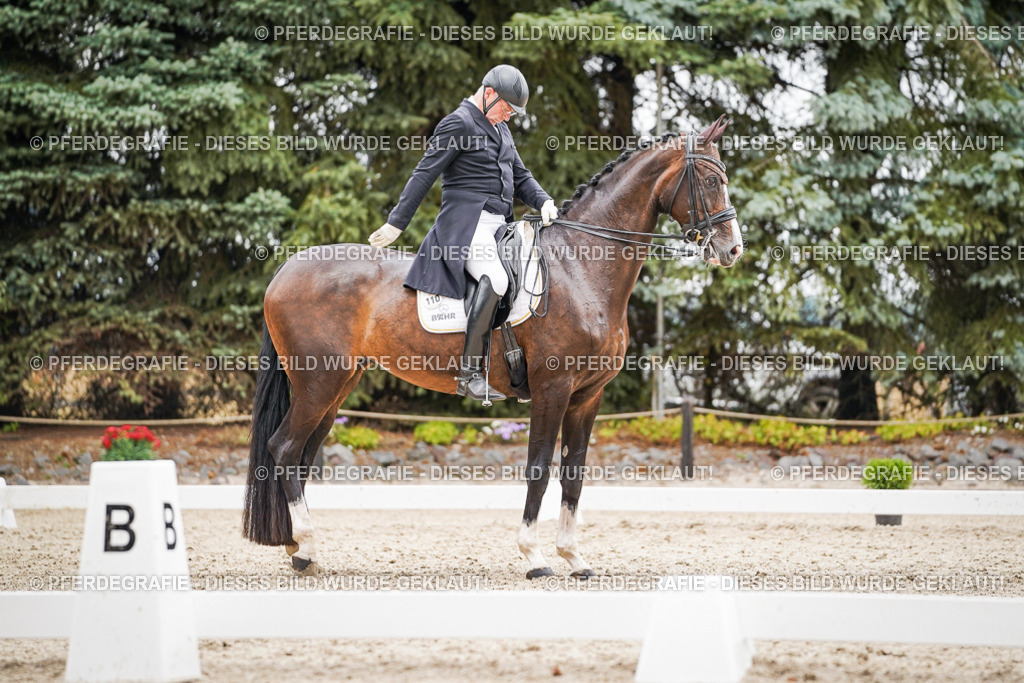 DSC06872 | Pferdegrafie