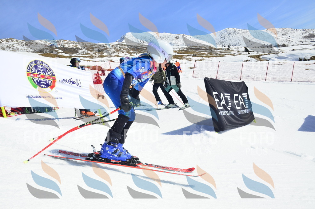 _ELE0518 | holidayphoto