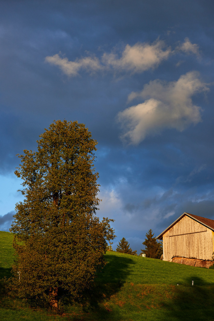 Bregenzerwälder Landschaft | Austria - September 12, 2017: Bregenzerwälder Landschaft mit einem Holzhaus. - Realisiert mit Pictrs.com