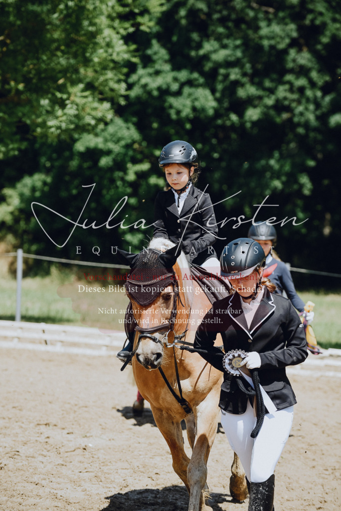 DSC_2707 | Pferde- und Turnierfotografie in Westsachsen. Pferdeportraits, Auftragszeichnungen und intuitive Kunst.