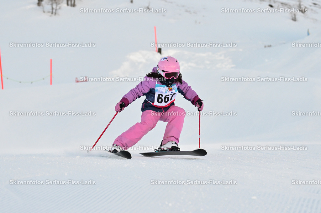 SRF_01.01.2026_0054 | SRF_01.01.2026_0054 - Realisiert mit Pictrs.com