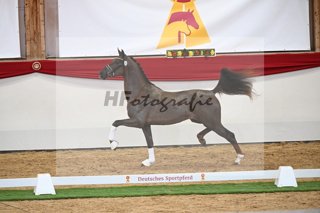 Kat.-Nr. 47 v. Damontez_Pfefferle_2250111 | hf-fotografie - Realisiert mit Pictrs.com