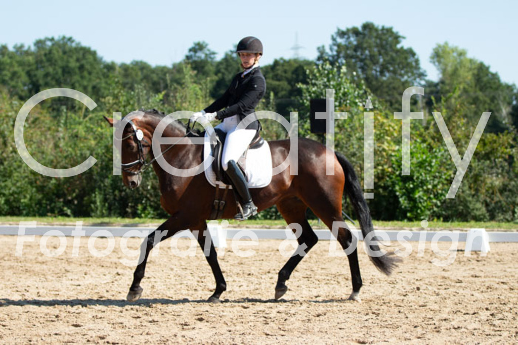 IMG_3912 | Creatify Fotografie