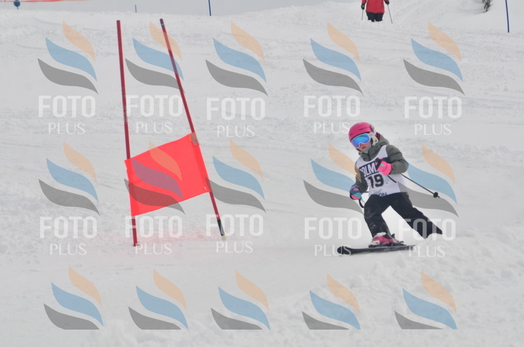 A5145 | holidayphoto