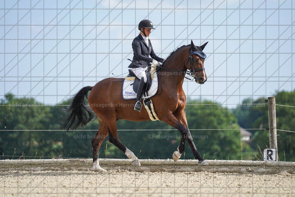 20230826-FAH06127 | Forstinning, 2023, Dressurturnier, Turniersportbilder, Turnierfotografen Bayern, Fotoagentur Herrmann, Reitsportfotografie, Turnierbilder