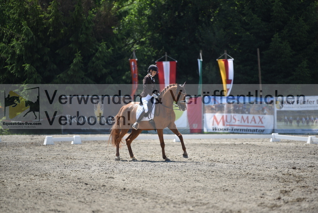 DSC_1461 | equestrian-live-com